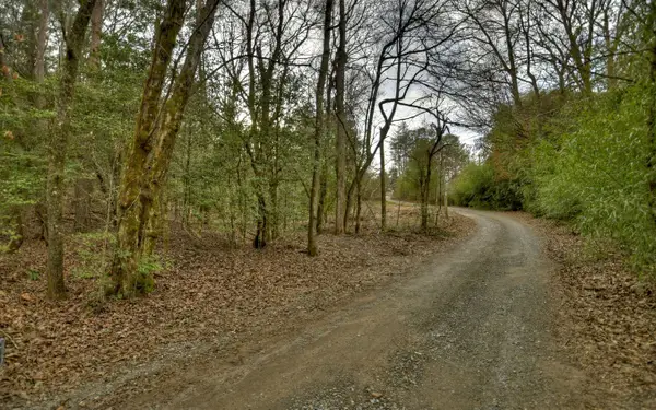 Huckleberry Lane, Mineral Bluff, GA 30559