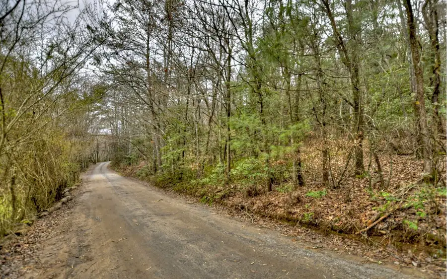 Huckleberry Lane, Mineral Bluff, GA 30559 - Image #3