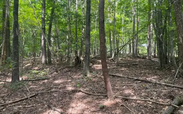 LT 8 Wildwood Drive #8, Hayesville, NC 28904