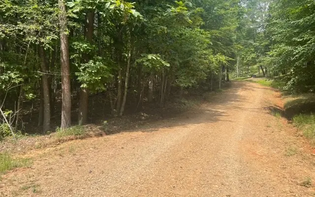 LT 8 Wildwood Drive #8, Hayesville, NC 28904 - Image #3