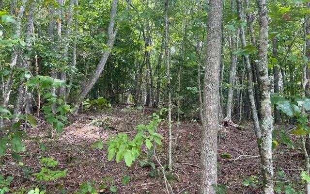 LT 9 Wildwood Drive #9, Hayesville, NC 28904 - Image #1