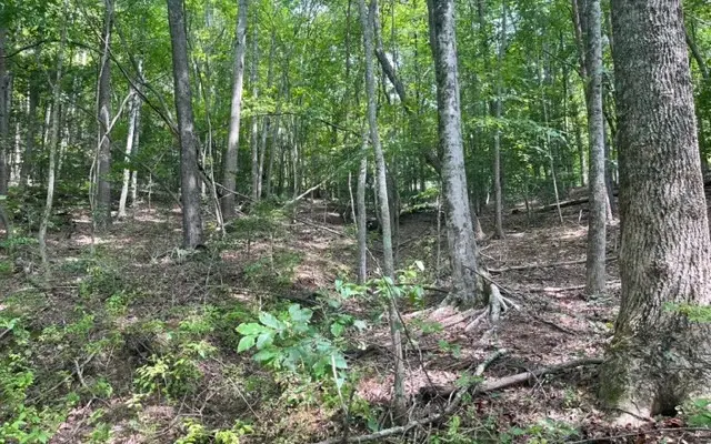 LT 9 Wildwood Drive #9, Hayesville, NC 28904 - Image #3