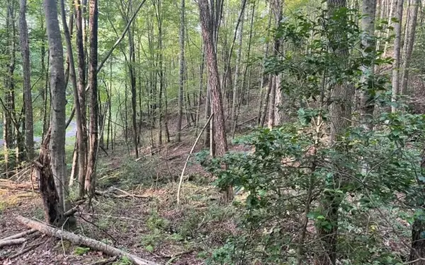 LT 11 Wildwood Drive #11, Hayesville, NC 28904