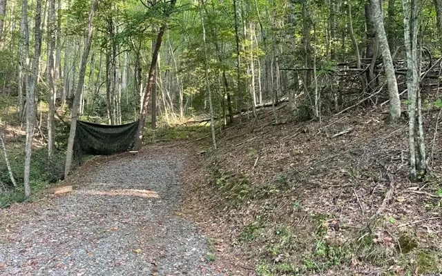 LT 11 Wildwood Drive #11, Hayesville, NC 28904 - Image #2