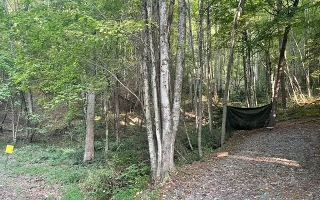 LT 11 Wildwood Drive #11, Hayesville, NC 28904 - Image #3