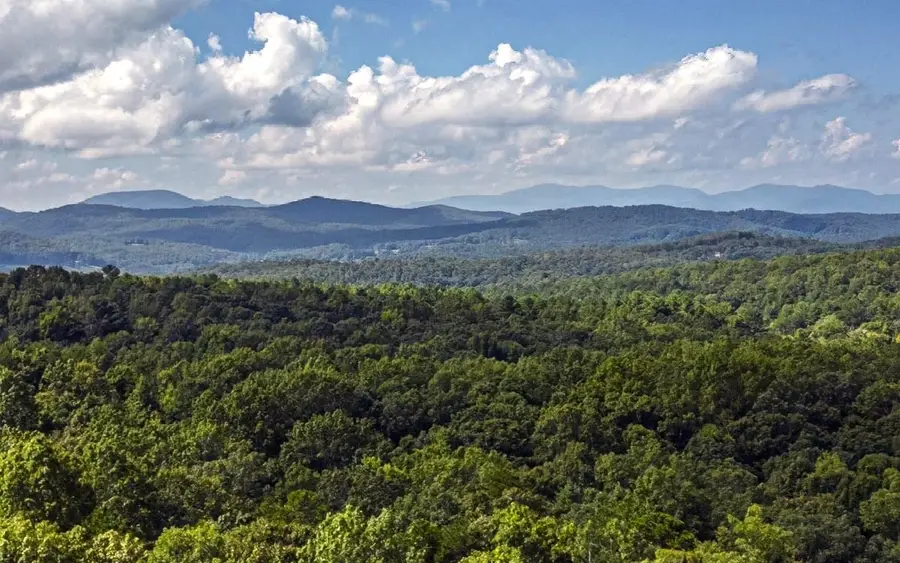 273 Antler Way, Morganton, GA 30560 - Image #2