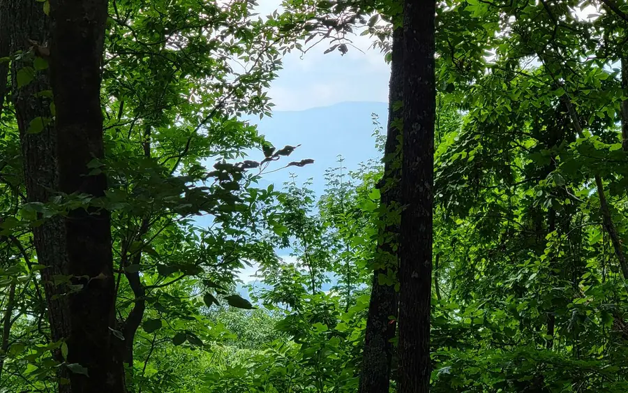 29 Oak Ridge North, Hayesville, NC 28904 - #2