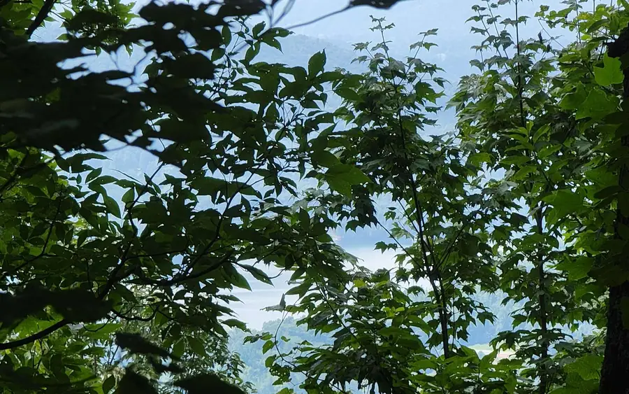 24 Oak Ridge North, Hayesville, NC 28904 - Image #3