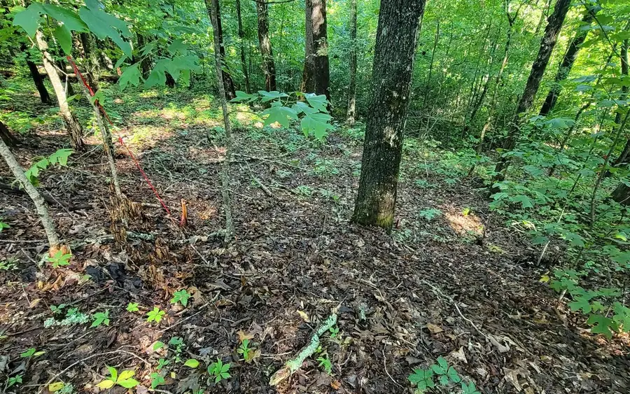 154-5 Dogwood Circle, Hayesville, NC 28904 - Image #2