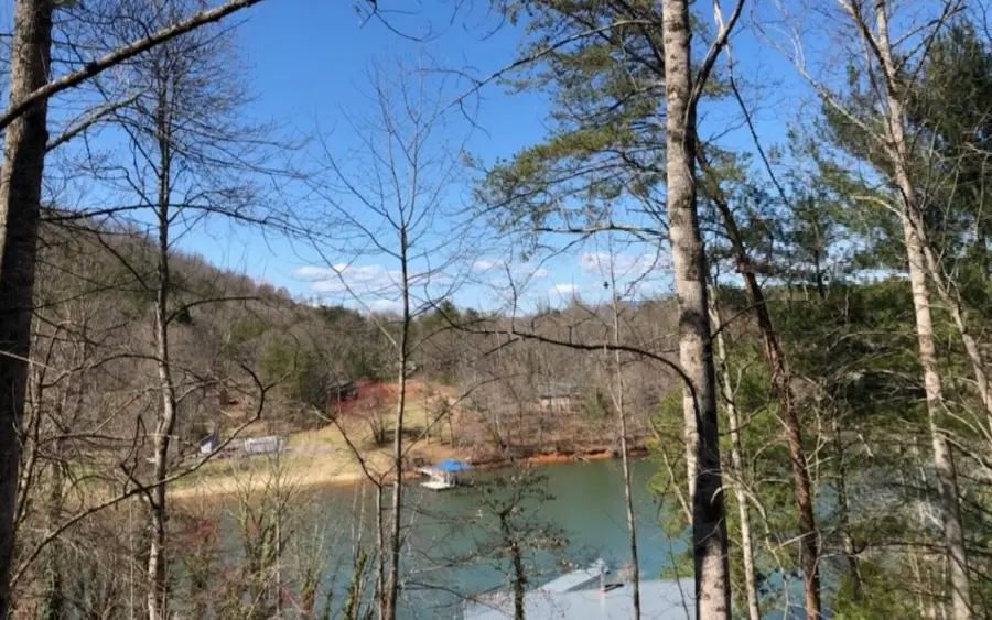 390 Bursey, Hiawassee, GA 30546 - #2