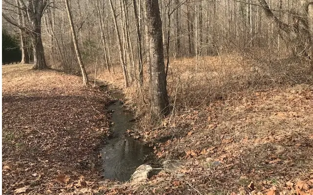 13 Tusquittee Crossing, Hayesville, NC 28904 - Image #3