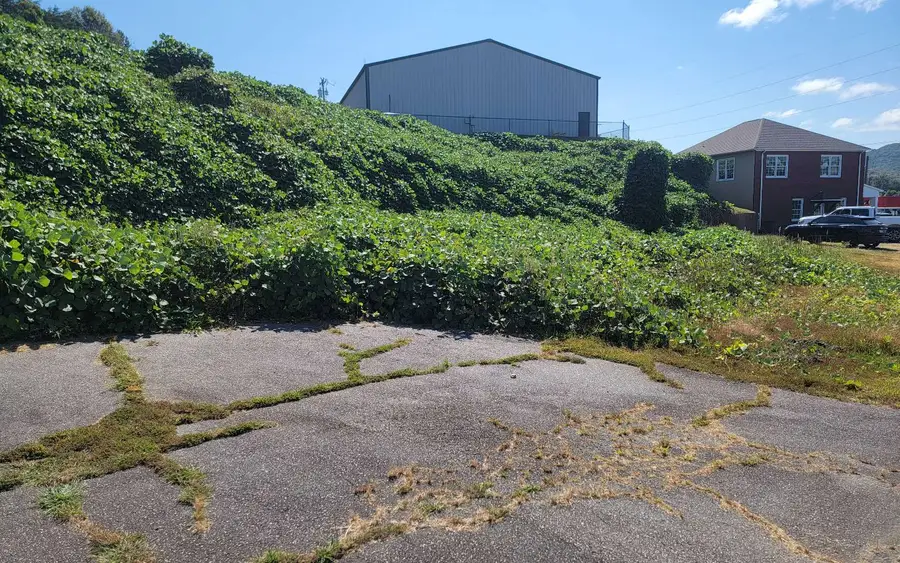 00 Smith Street, Hiawassee, GA 30546 - Image #3