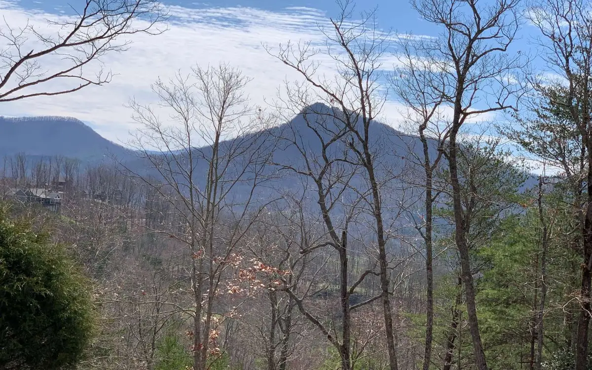 Lot 42 Dan Knob, Hayesville, NC 28904 - Image #1