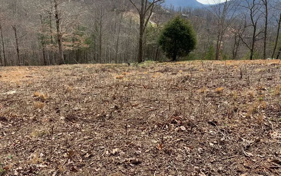 Lot 42 Dan Knob, Hayesville, NC 28904 - Image #3