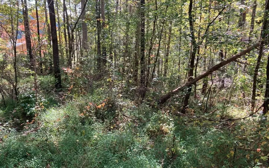 11 Mountain View Trail, Murphy, NC 28906 - Image #2