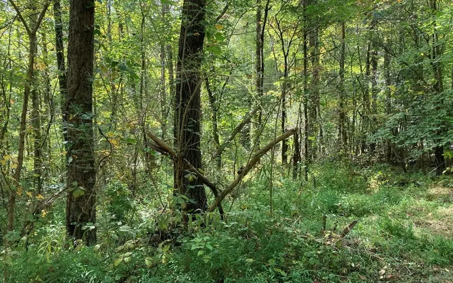 11 Mountain View Trail, Murphy, NC 28906 - Image #3