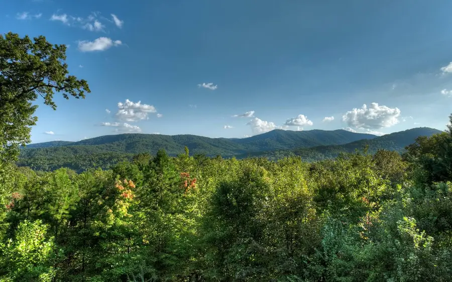 227 Deer Hunter Trail, Blue Ridge, GA 30513 - #3