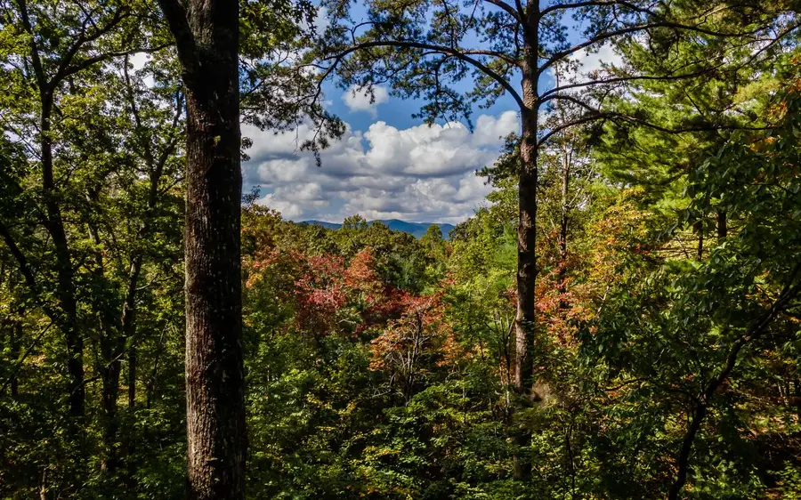 1609 Sunrock Mountain Dr, Blue Ridge, GA 30513 - #2