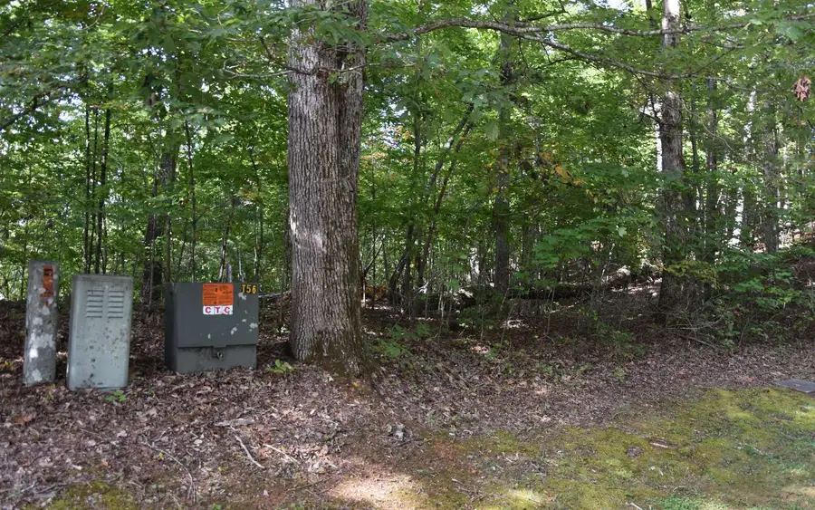 32A Licklog Ridge, Hayesville, NC 28904 - Image #3