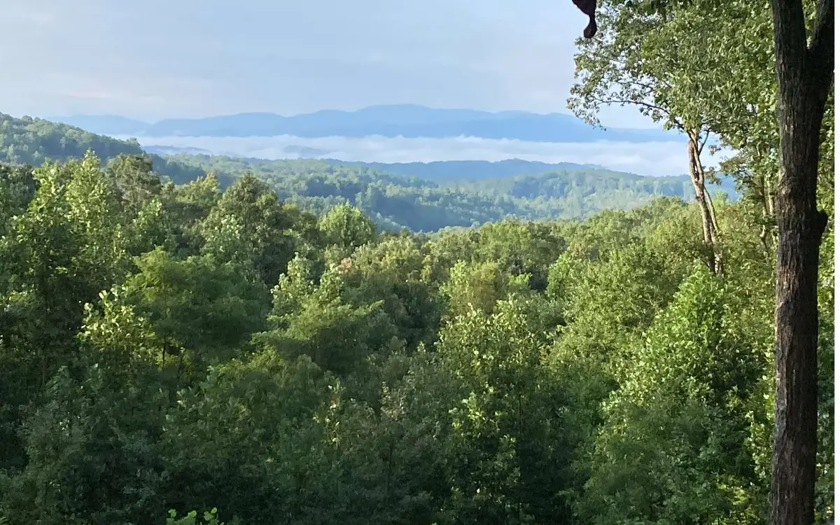 425 Arrowhead Drive, Mineral Bluff, GA 30559 - Image #1