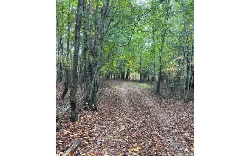 TBD Tobe Stalcup Road, Murphy, NC 28906 - Image #2