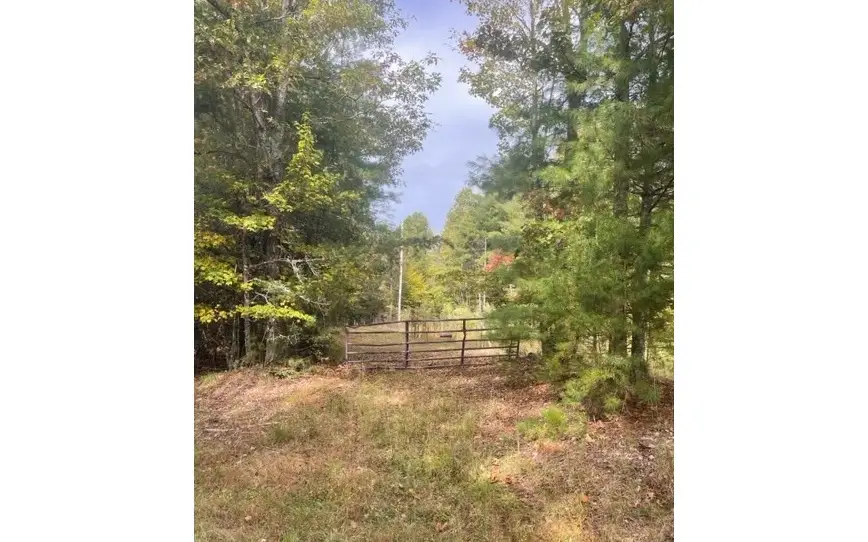 TBD Tobe Stalcup Road, Murphy, NC 28906 - Image #3