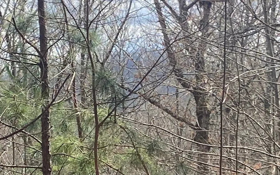 LT 47 Ralston Gap Road, Morganton, GA 30560 - Image #2