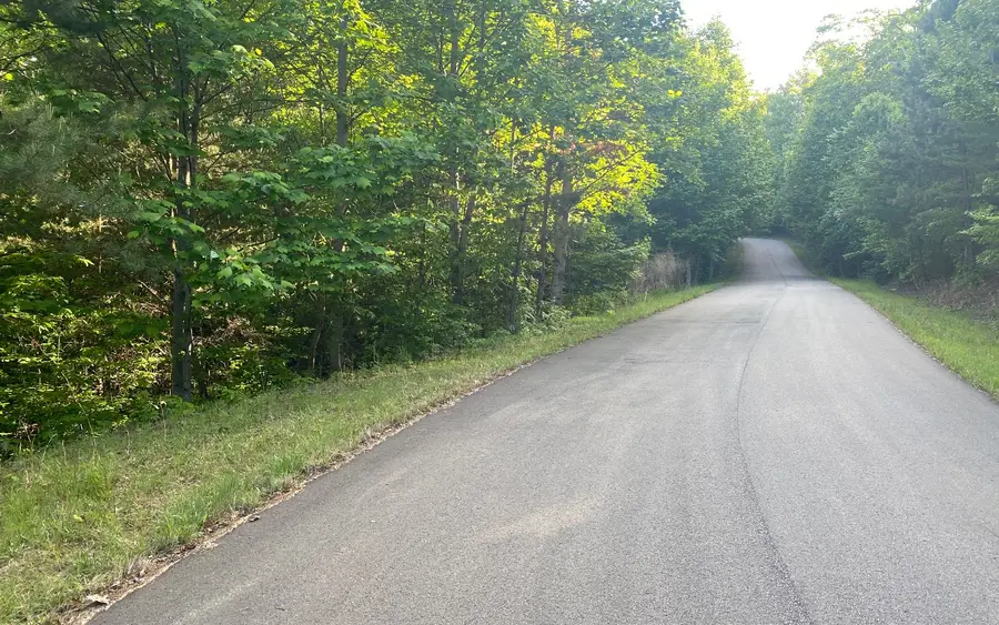 LT 47 Ralston Gap Road, Morganton, GA 30560 - Image #3