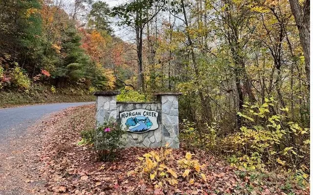 6 Morgan Creek Lot 6, Young Harris, GA 30582 - Image #2