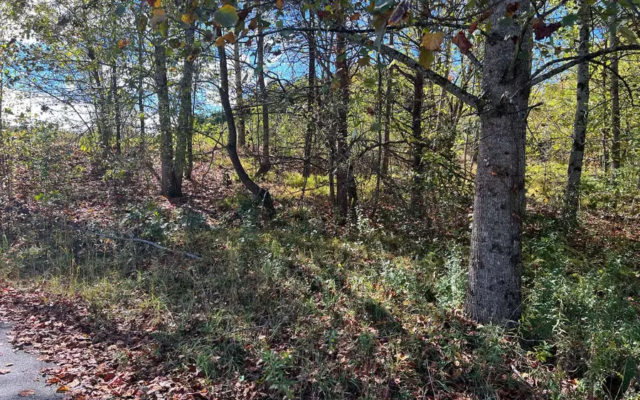 TR1&2 Holland Drive, Young Harris, GA 30582 - Image #3