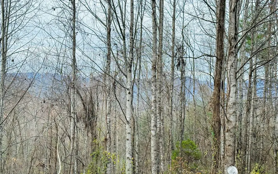 332 Ali Drive, Hayesville, NC 28904 - Image #2