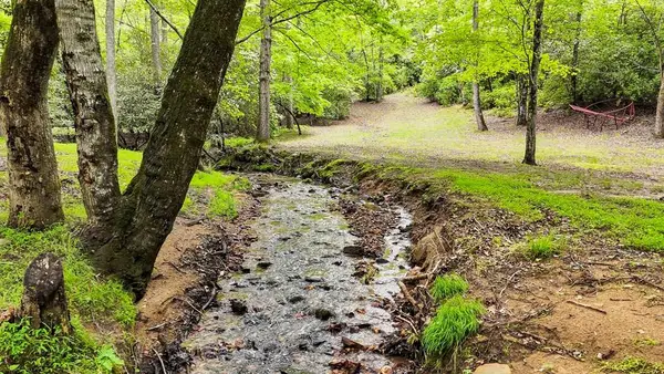 805 Quail Cove Circle, Warne, NC 28909