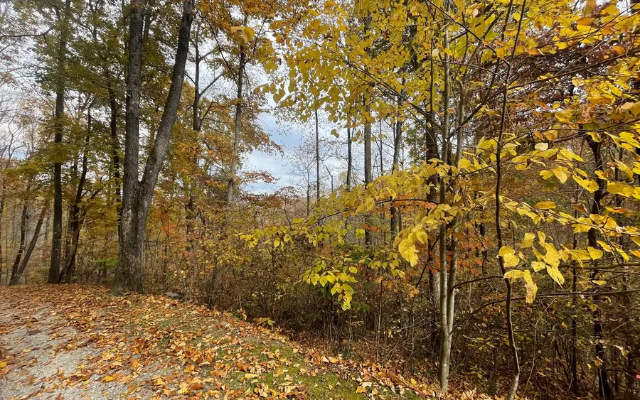 Lot 5A Anns Lane, Hayesville, NC 28904 - Image #2