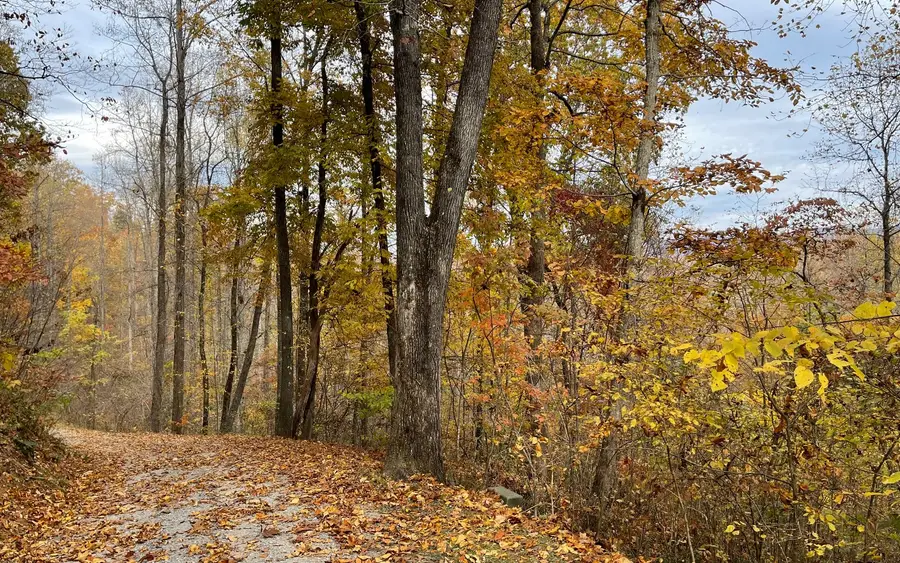 Lot 5A Anns Lane, Hayesville, NC 28904 - Image #3