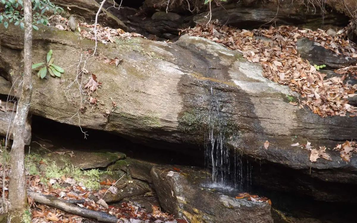 Eastview Eastview Lane- Lot M, Clayton, GA 30525 - Image #1