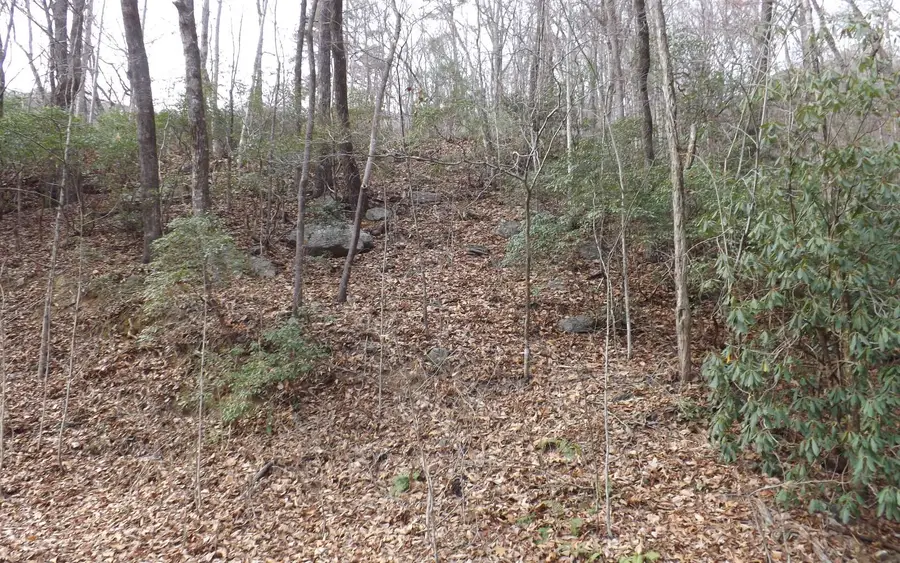 Eastview Eastview Lane- Lot M, Clayton, GA 30525 - Image #2