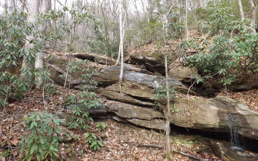 Eastview Eastview Lane- Lot M, Clayton, GA 30525 - Image #3