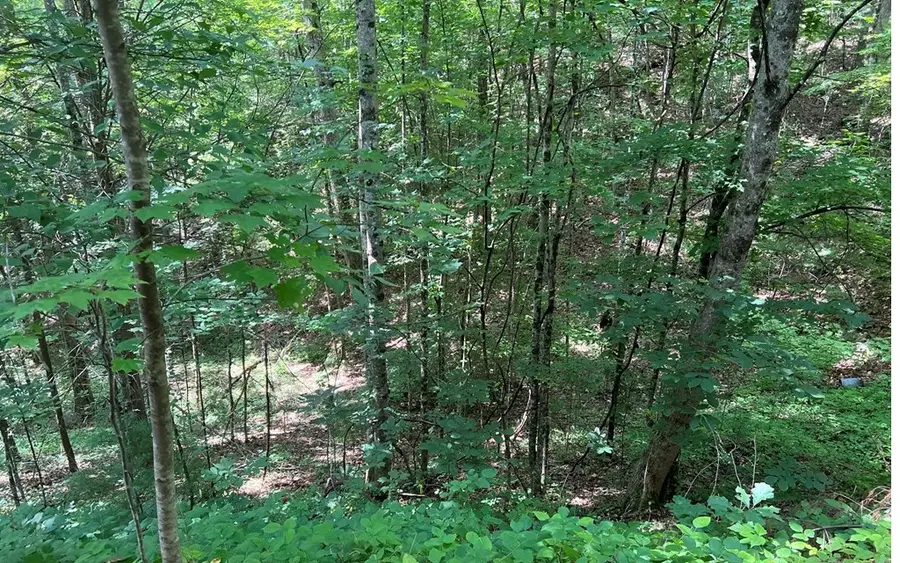 000 Cross Creek, Andrews, NC 28901 - #3