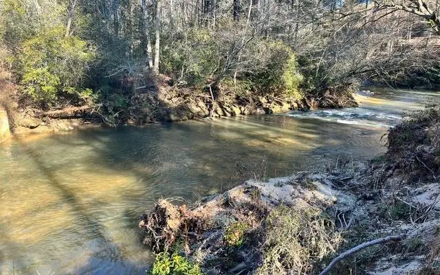 LT 51 Riverside On Lk Nott, Blairsville, GA 30512 - #1