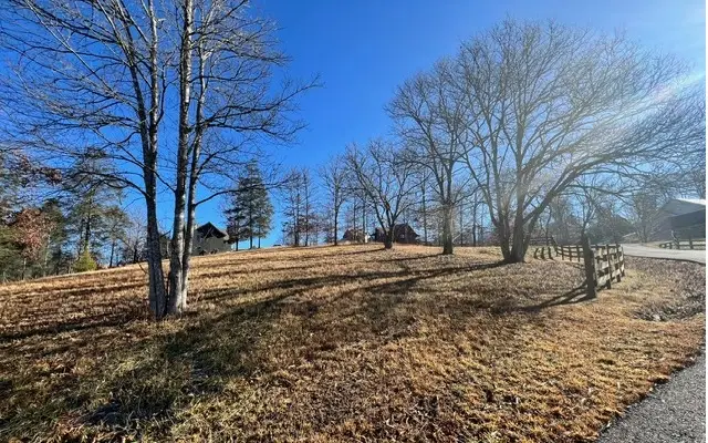 LT 51 Riverside On Lk Nott, Blairsville, GA 30512 - #2