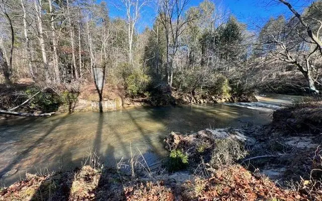 LT 51 Riverside On Lk Nott, Blairsville, GA 30512 - #3