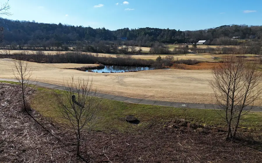 203 Owen Glen, Blairsville, GA 30512 - Image #2