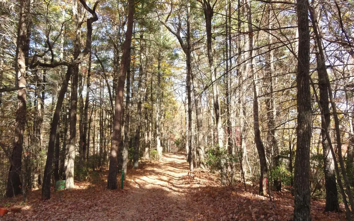 LOT B Cindy Cove, Blairsville, GA 30512 - #1