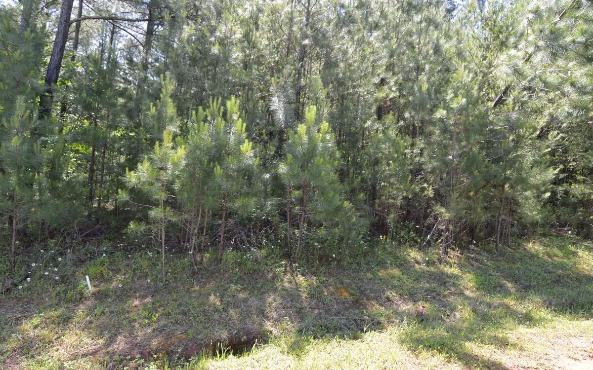 LOT14 Loftis Mountain, Blairsville, GA 30512 - Image #1