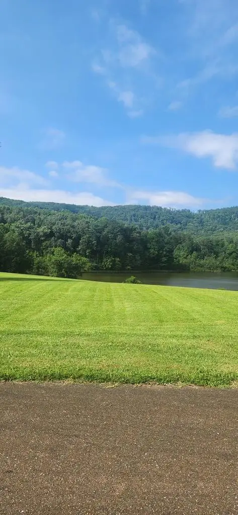 L176 Trailwood Drive, Ellijay, GA 30536 - Image #3