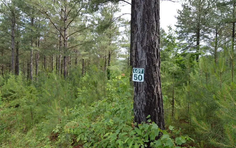 Lot 50 Pinehurst Road, Blairsville, GA 30512 - #3