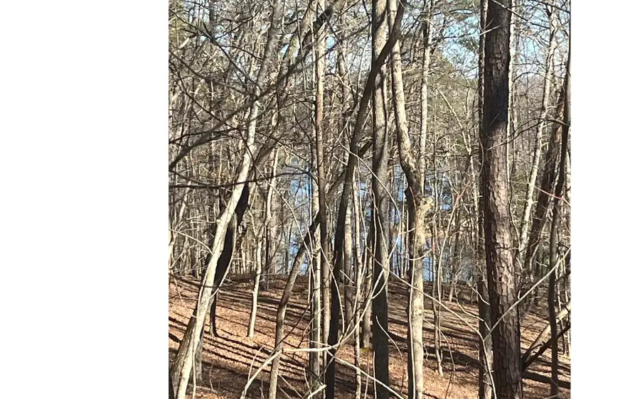 Campbell Camp Circle, Blue Ridge, GA 30513 - #2