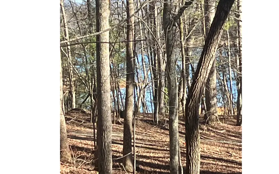 Campbell Camp Circle, Blue Ridge, GA 30513 - #3