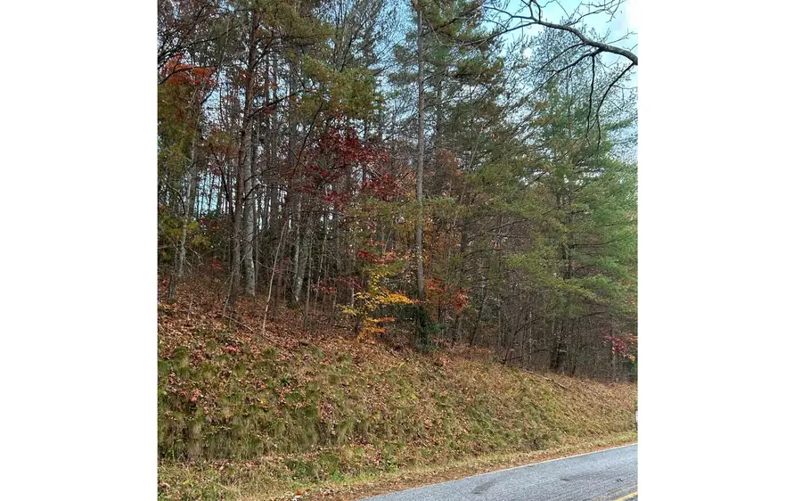 TR 1 Greasy Creek Road, Brasstown, NC 28902 - Image #2