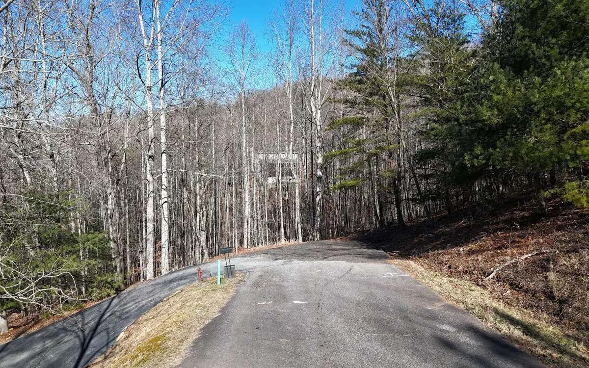 LOT37 Mountain Valley Lane, Blairsville, GA 30512 - #1